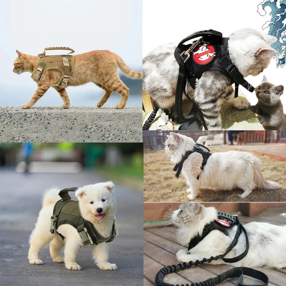 Pet Harness Leash