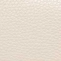 The Francesca Mini
