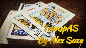 TranspAS by Alex Soza - INSTANT DOWNLOAD